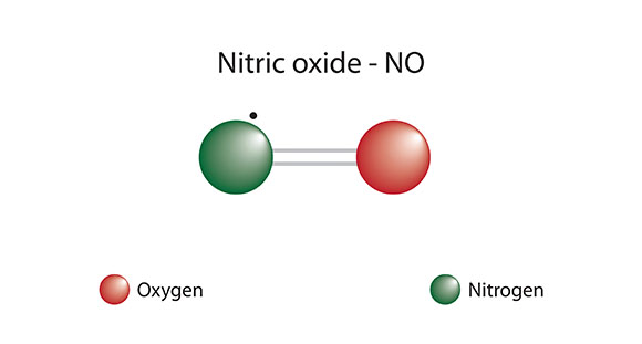 a nitric oxide compound, consisting of a nitrogen molecule, and oxygen molecule