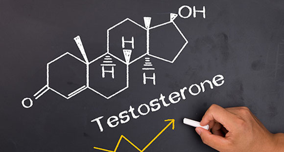 a person drawing the chemical structure of testosterone