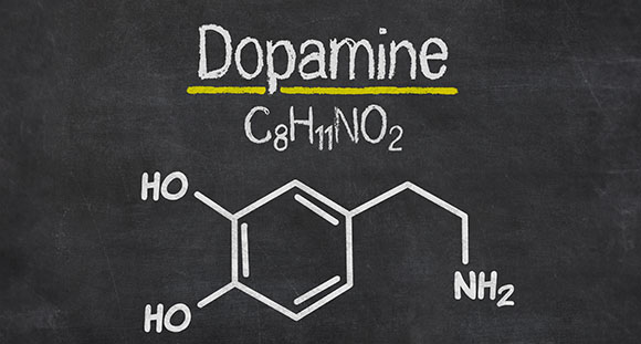 the chemical make-up of dopamine