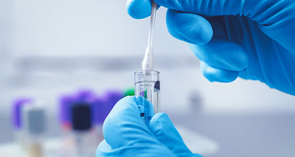 a blue gloved scientist collecting a saliva sample with a swab in preparation for a DNA test